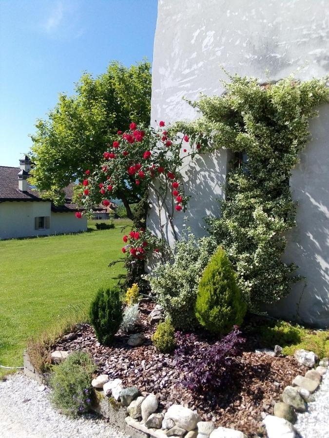 B&B La Casa Di Loretta Paderno Экстерьер фото